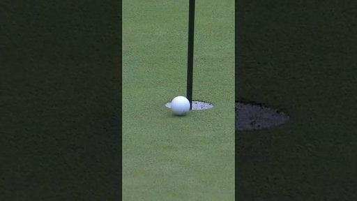 Your golf buddy who swears they can do this 😂