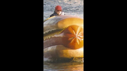 All I want for Christmas is a LINE-X'd hotdog boat