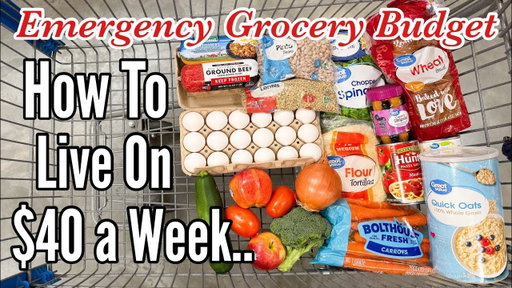Feeding 4 People on $40 a Week for Breakfast, Lunch & Dinner | JULIA PACHECO BUDGET RECIPES
