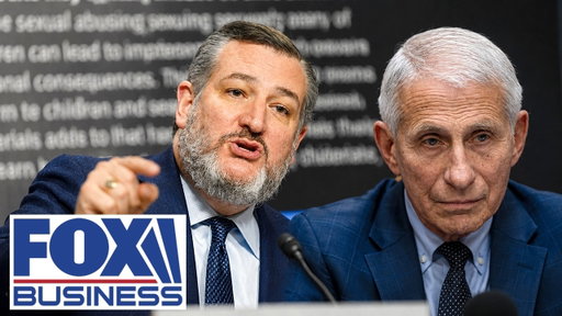 ‘LONG PRISON TERM’: Ted Cruz demands Fauci face JAIL TIME