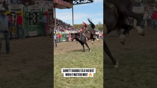 Garrett Shadbolt goes 87.0 to cruise into Pendleton finals #rodeo