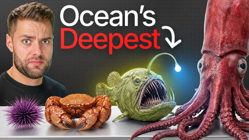 I Cooked the World’s Deepest Sea Creatures
