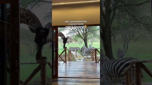Would you stay here?! #luxuryhotel #luxurysafari