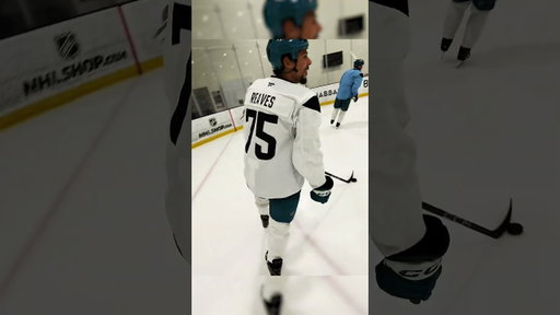 POV: You're an NHL player