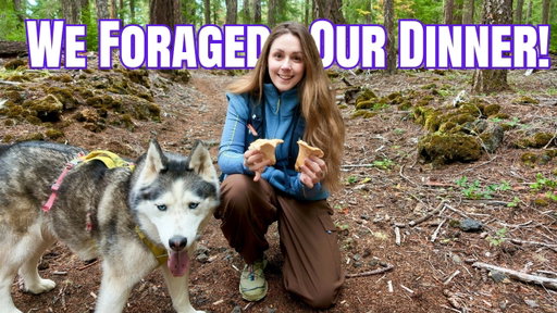 Foraging & Cooking Wild Chanterelle Mushrooms in Oregon