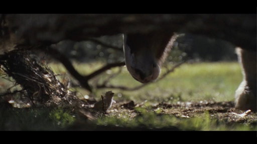 Budweiser | Super Bowl LX Commercial 'American Icons'