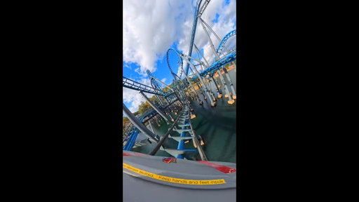 POV: A hawk just snatched you 🔵🦅