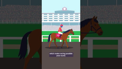 The Track