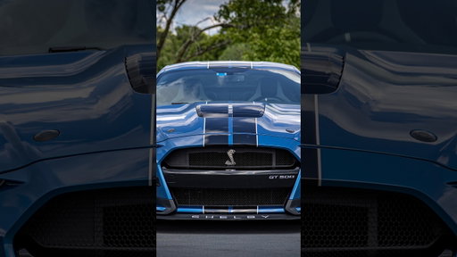 The Worst Thing about the GT500 is the Pitiful Fuel Range! #automobile #cartok #gt500 #shelby
