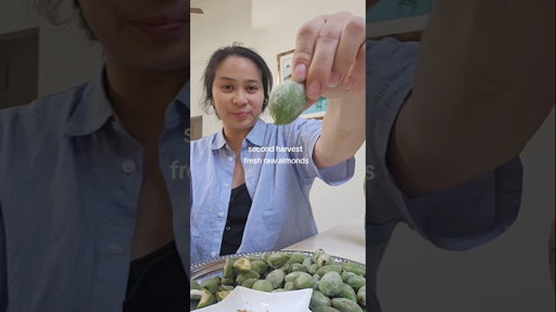 second harvest od the fresh raw almonds #mukbang #almonds