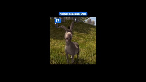 Si c'était que moi j'aurais tout mis en 1 #primevideo #shrek