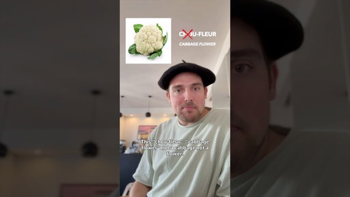 France vs. Plant-based foods