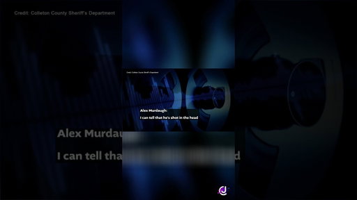What Did Alex Murdaugh Tell 911?