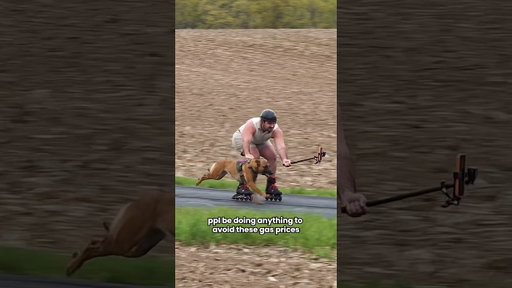 This dog took him for a TOP SPEED ride