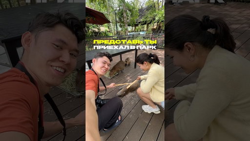Сохрани и отправь тому, с кем хочешь почесать капибар 🫳🏼 #китай #хайнань #янода #тревел #капибара