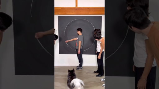 Can You Draw The Perfect Circle?😂
