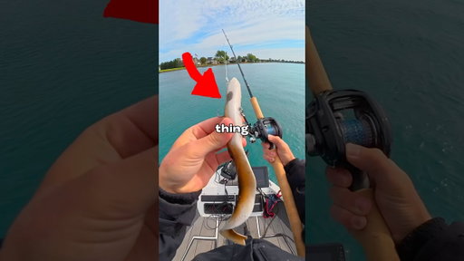 I Fished with a GIANT Lure 🐟🎣