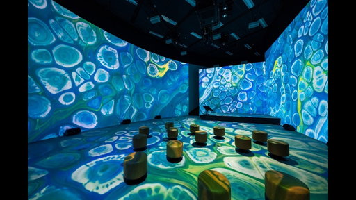 Discover the Experience Center at our HQ in Belgium