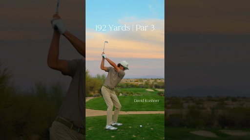 Play a Hole with David Kushner #paryard  #golf #golfskill #golfer #golfswing #golflife