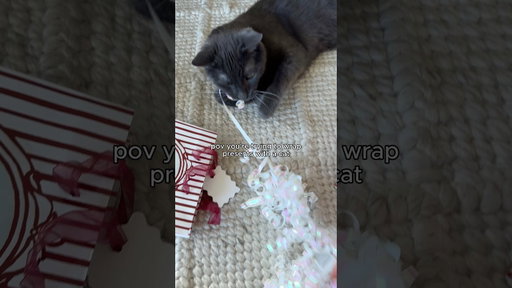 Don’t Do This In Front of Your Cat