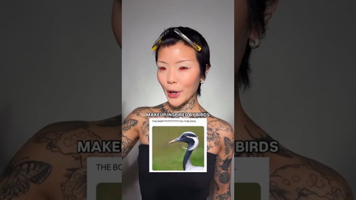 Makeup inspired by that bird meme 😂