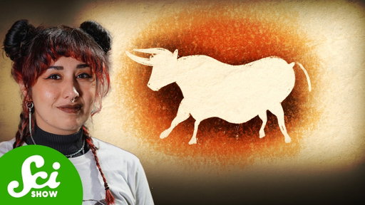Why Are There No Wild Cows?