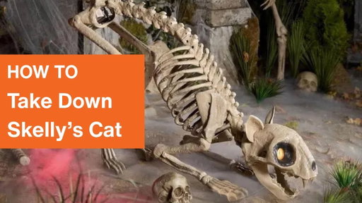 How to Take Down Skelly's Cat