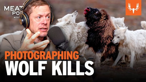 Photographing Wolf Kills and Other Impossible Shots | The MeatEater Podcast Ep. 814