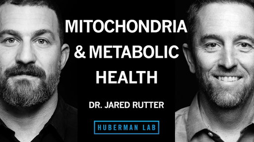 How Mitochondria Control Your Metabolism | Dr. Jared Rutter
