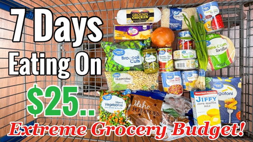 I Turned $25 Into 7 Meals… Here’s What I Made!