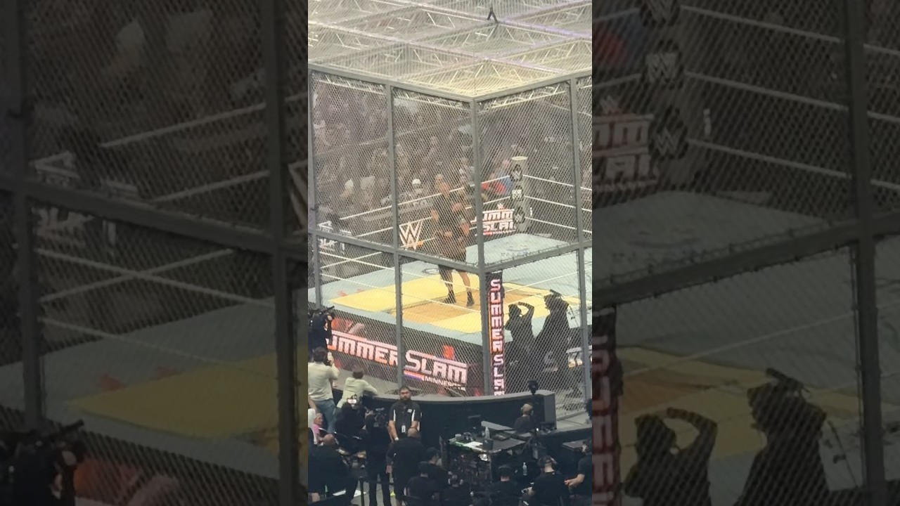 Brock Lesnar hits the tombstone on Oba Femi! - Summerslam 2026