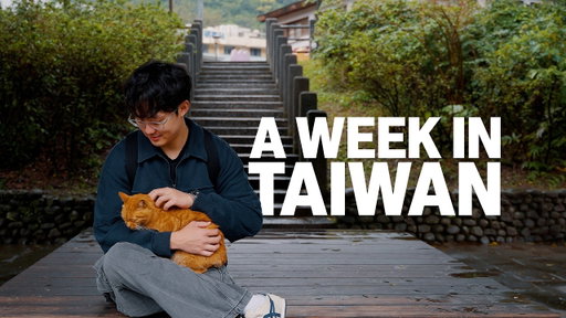 taiwan vlog | best coffee shops, cat village, exploring taipei