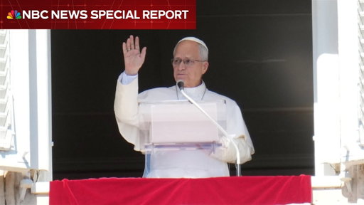 Special report: Vatican says Pope Leo diagnosed with lung cancer after surgery