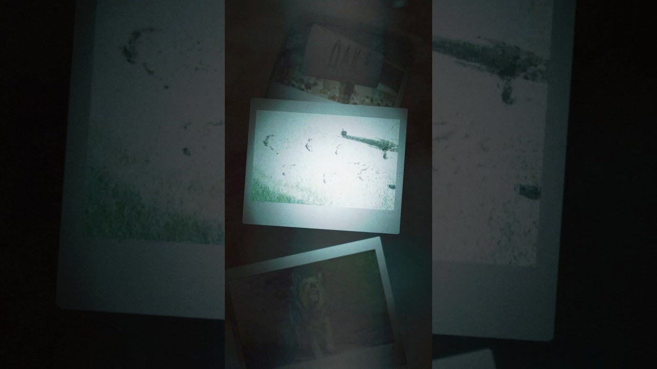 What’s next? Watch the trailer for The End of Oak Street, only in theaters and IMAX August 14.