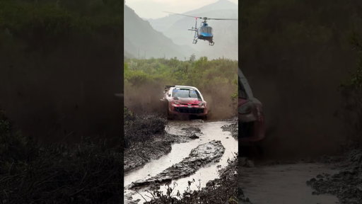 INSANE Safari Conditions 🤯