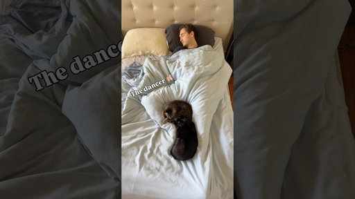 How To Sleep With Your Cat
