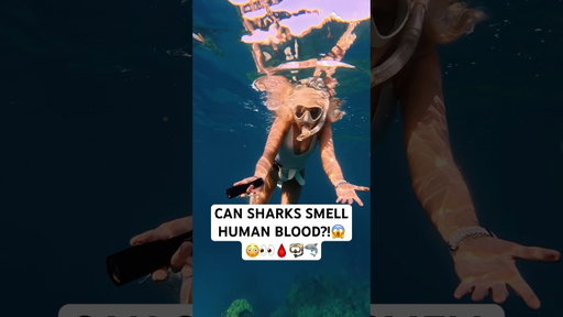 Did the shark smell his blood?!😱👀🩸🦈 Wait til the end…😳Day 23 of finding a shark was a success!!