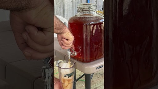 Making Sun Tea!