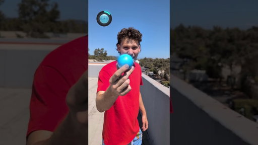 Which Ball Bounces the Highest?