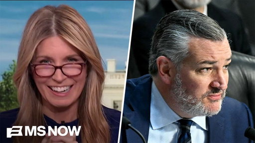 'A HUMILIATING mistake': Nicolle reacts to GOP's mortifying SELF-OWN during Jack Smith hearing