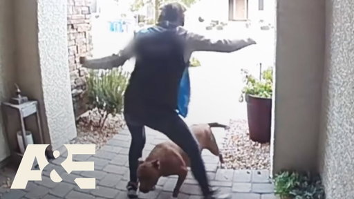 Delivery Driver Saves Homeowner & Dog from Pit Bull Attack | Neighborhood Wars | A&E