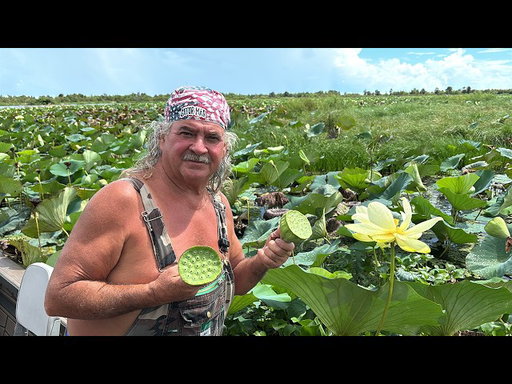 The Original Cajun Peanuts! The American Lotus!