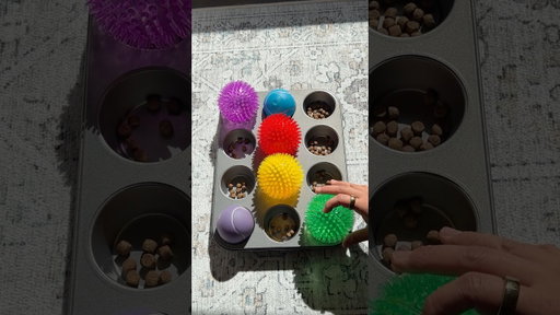 Easiest dog enrichment hack ever #dogenrichment #enrichmentfordogs