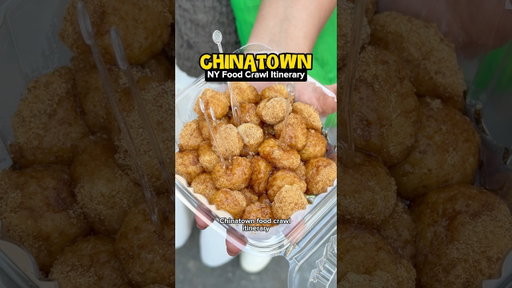 FLUSHING CHINATOWN FOOD CRAWL: cheap eats + all my best tips + bathroom breaks!