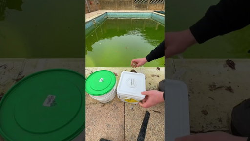 Getting this pool ready for summer ☀️ #Aiper #AiperScubaV3 #AiperProClub
