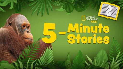 5 Minute Stories Book Read-Along 📚 | Welcome to the Ape Academy! 🐒🎓 | @natgeokids