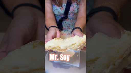 Mr Soy - Soy Milk Custard Cream Donuts in Kyoto Japan