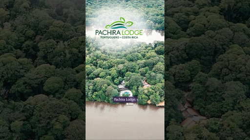 Pachira Lodge Tortuguero | Costa Rica’s Ultimate Wildlife & Canal Experience - By Frog TV