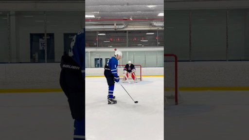 Playing Hockey With Different Sports!