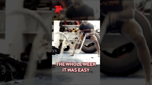 Yoel's Real Weight on Fight Night
